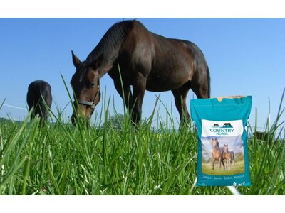 COUNTRY Horse Low Fructane Mix-3