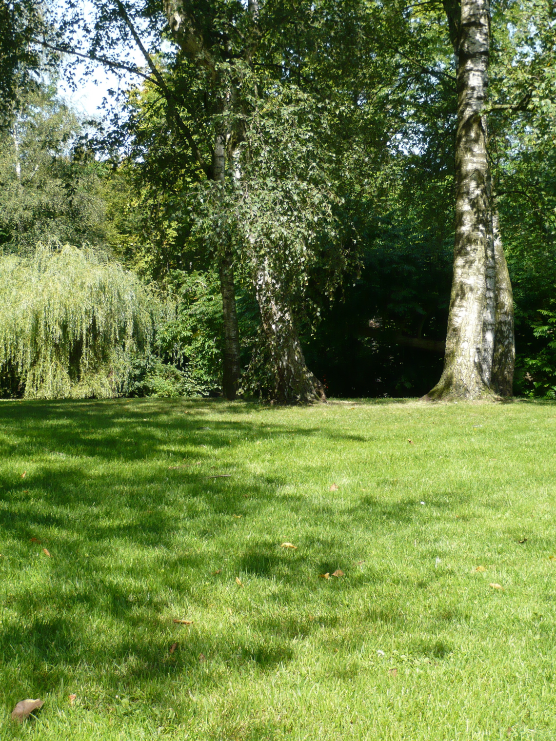 Eurograss Silhouette-6