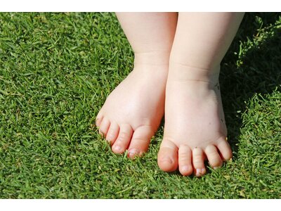 Eurograss Bambino-2