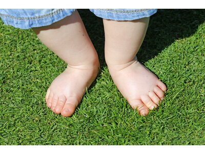 Eurograss Bambino-0