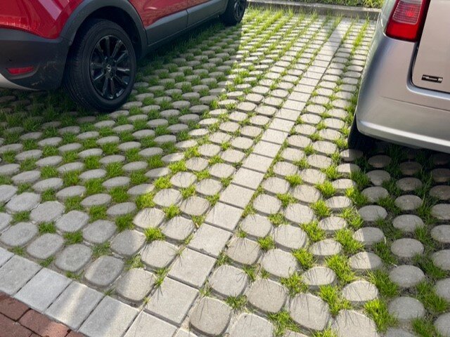 Eurograss MaaiMinder-1