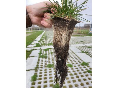 Eurograss MaaiMinder-2