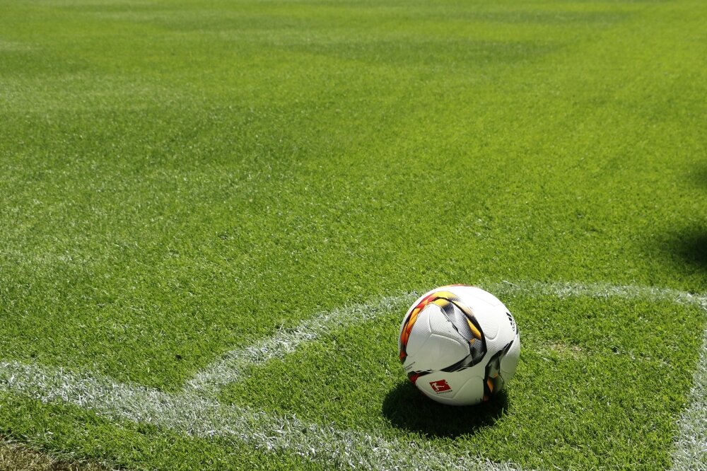 Eurograss SV7 Maxima-0