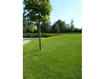 Eurograss Bambino-1