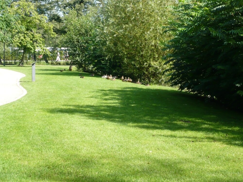 Eurograss Silhouette-3