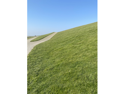 Eurograss D1-0