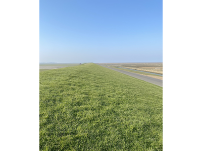 Eurograss D1-1