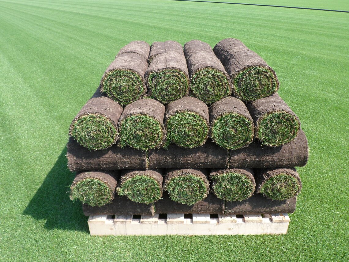 EUROGRASS Graszoden-mengsel-1