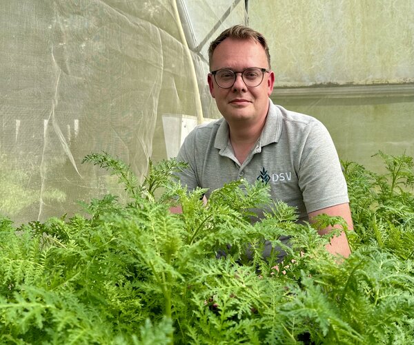 Veredelaar Nic Boerboom bij de isolaties van facelia.