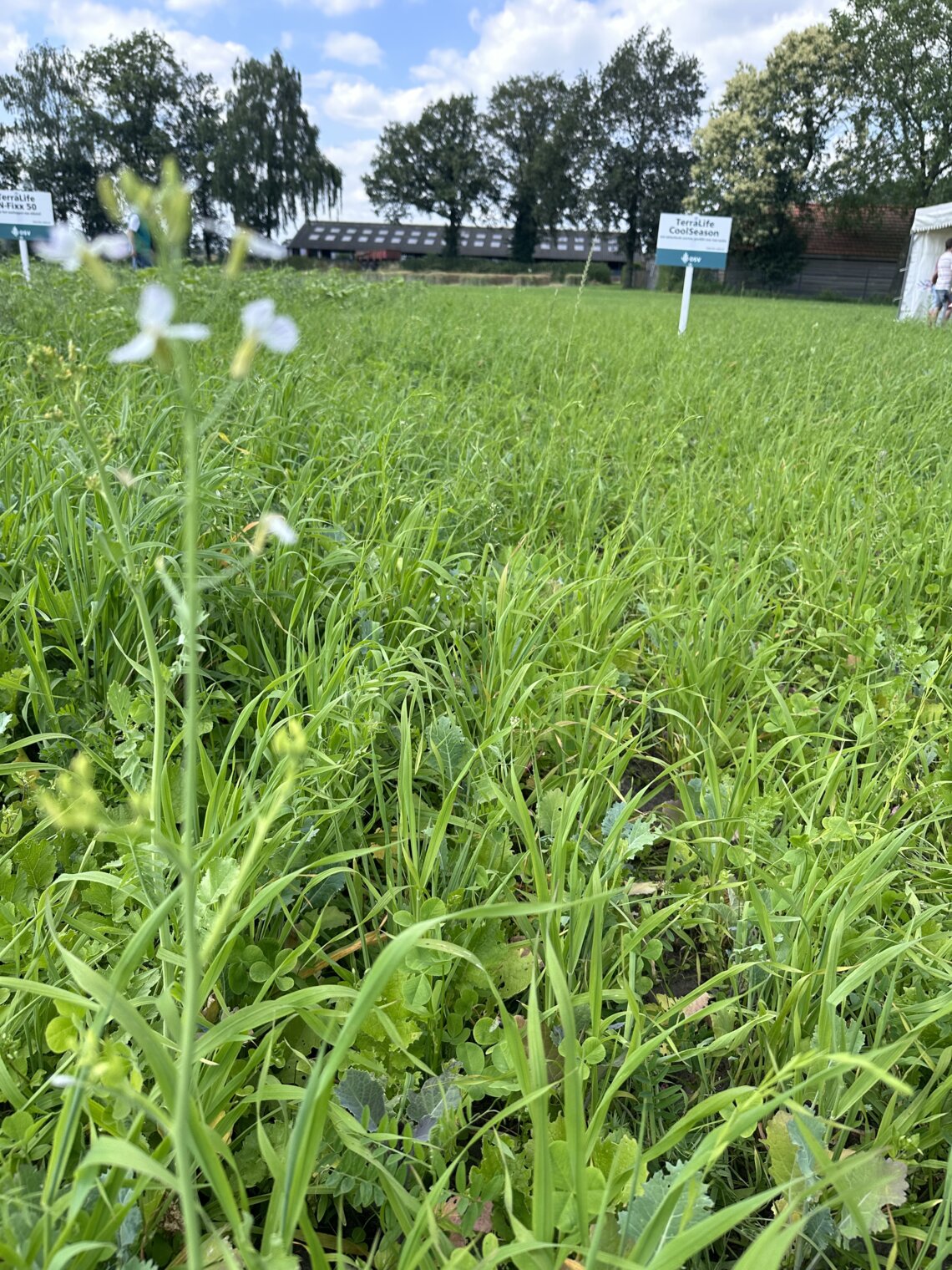 TerraLife CoolSeason-5